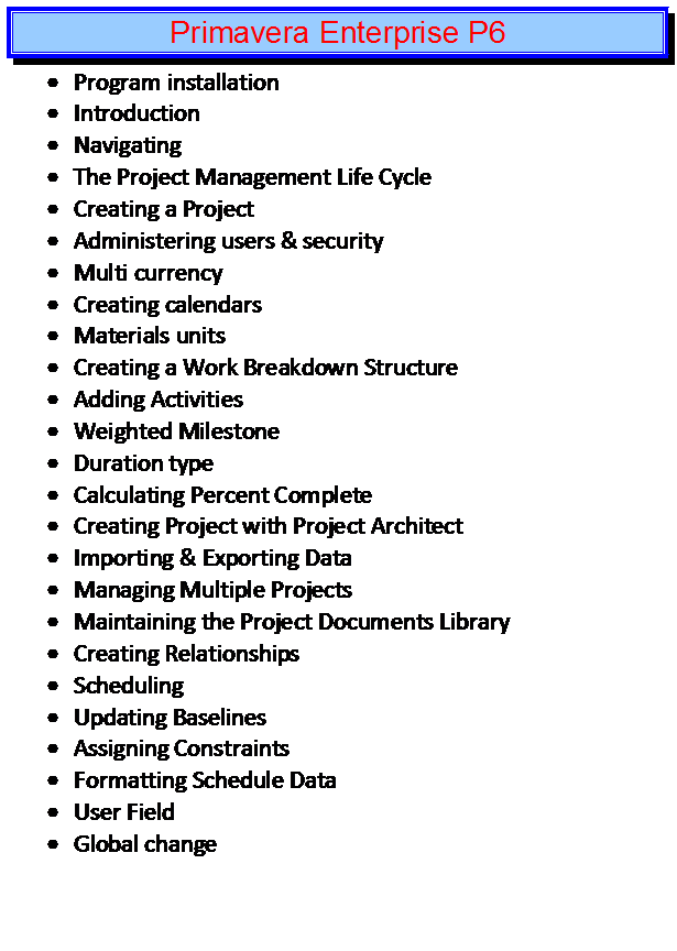 primavera p6